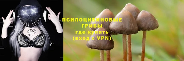 мет Касимов
