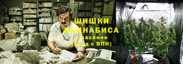 метадон Инта