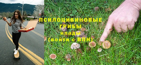 2c-b Карпинск