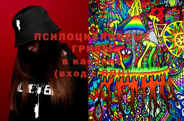 2c-b Иннополис