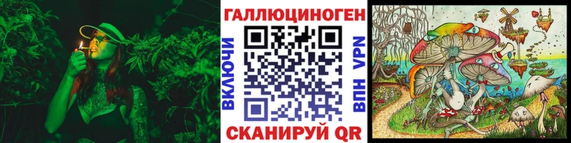 купить  цена  Карабаш  блэк спрут вход  Псилоцибиновые грибы Psilocybine cubensis 
