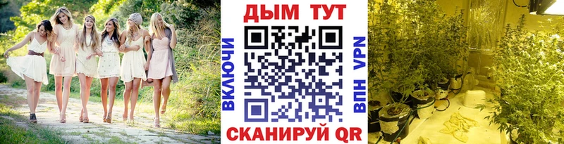 Бошки Шишки ГИДРОПОН  MEGA ссылки  Карабаш  закладка 